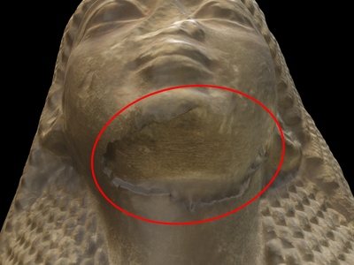 [Exploring Expert and Non-Expert Perception of 3D Digital Models of Museum Objects]