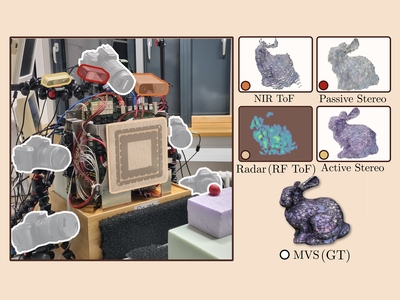 [MAROON: A Dataset for the Joint Characterization of Near-Field High-Resolution Radio-Frequency and Optical Depth Imaging Techniques]